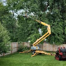 Best Tree Preservation Services  in Benson, NC